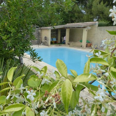 Maison en Provence avec Jardin ombragée et Piscine LʼIsle-sur-la-Sorgue Extérieur photo