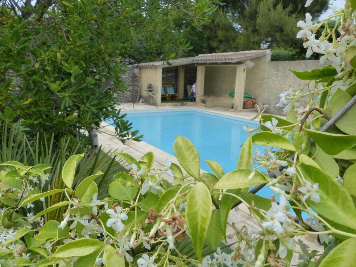 Maison en Provence avec Jardin ombragée et Piscine LʼIsle-sur-la-Sorgue Extérieur photo
